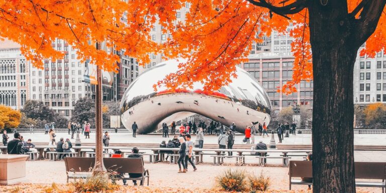 Things to do in Fall in Chicago 2021 | Tours & Boats